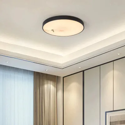 Moderne nieuwe bloemvogel ronde slaapkamerplafondlamp