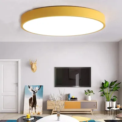 LED-plafondlamp Moderne armatuur Lamp Woonkamer Slaapkamer Badkamer Slaapkamer Keuken Plafondverlichting Opbouwmontage