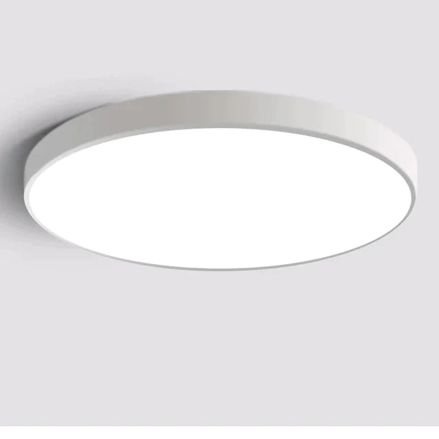 LED-plafondlamp Moderne armatuur Lamp Woonkamer Slaapkamer Badkamer Slaapkamer Keuken Plafondverlichting Opbouwmontage