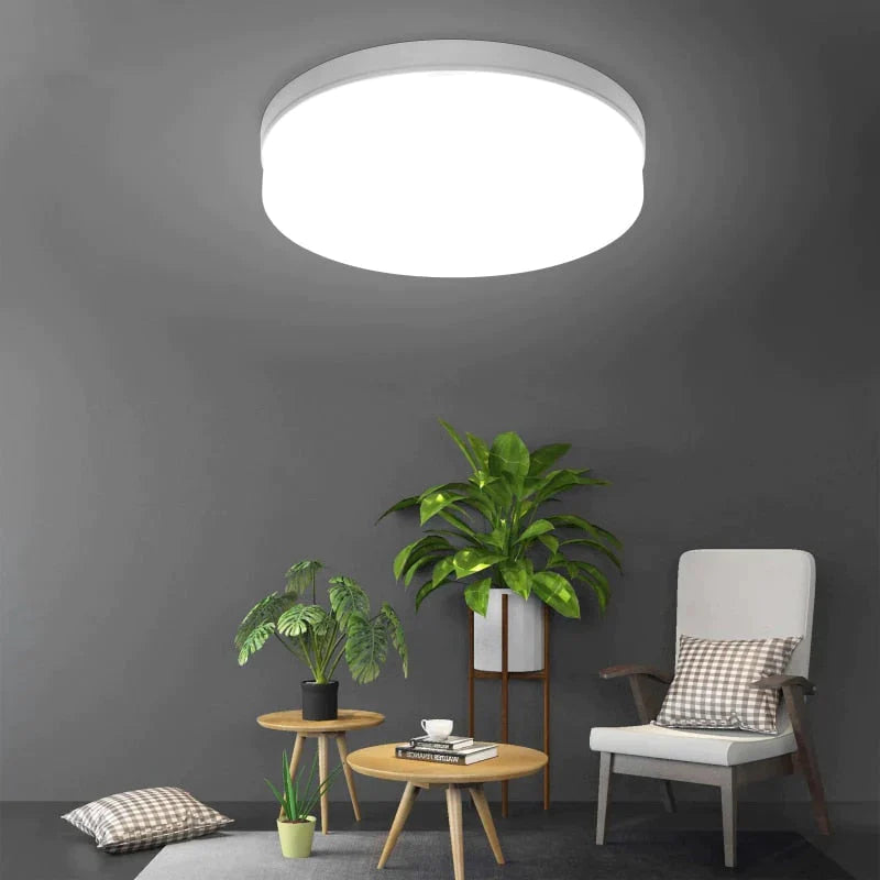 Nadia- LED-plafondlamp Moderne armatuurlamp Woonkamer Slaapkamer Badkamer Slaapkamer Keuken Plafondverlichting Opbouwmontage