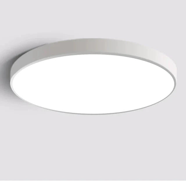 Nadia- LED-plafondlamp Moderne armatuurlamp Woonkamer Slaapkamer Badkamer Slaapkamer Keuken Plafondverlichting Opbouwmontage
