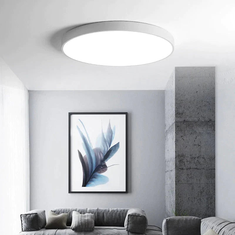 Nadia- LED-plafondlamp Moderne armatuurlamp Woonkamer Slaapkamer Badkamer Slaapkamer Keuken Plafondverlichting Opbouwmontage
