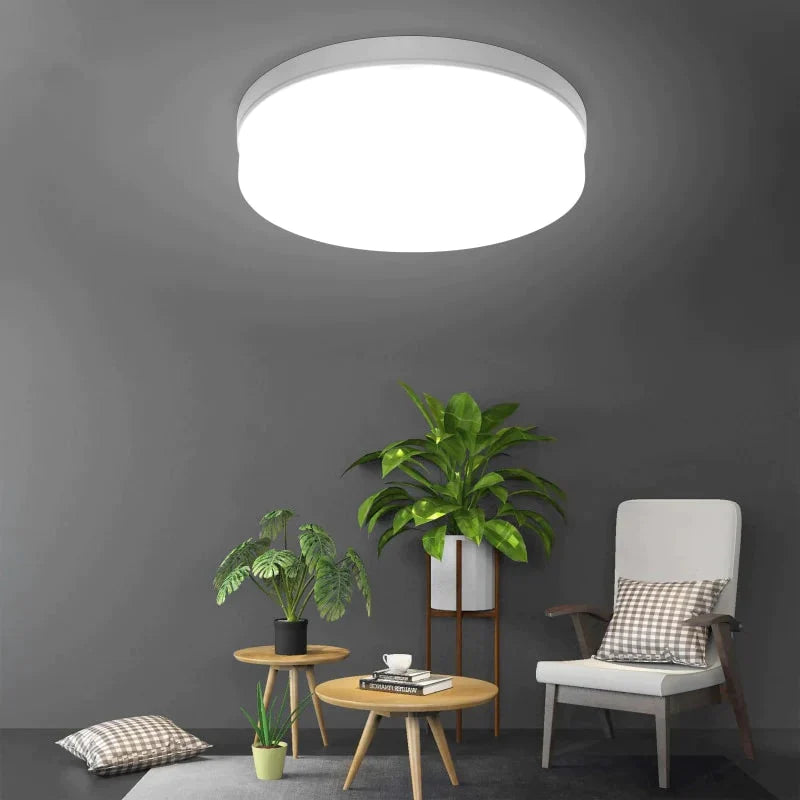 LED-plafondlamp Moderne armatuur Lamp Woonkamer Slaapkamer Badkamer Slaapkamer Keuken Plafondverlichting Opbouwmontage